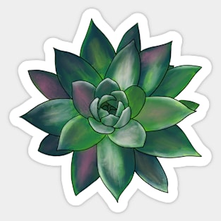 Colorful Succulent - Green and Pink Sticker